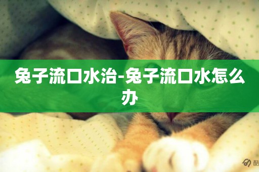 兔子流口水治-兔子流口水怎么辦