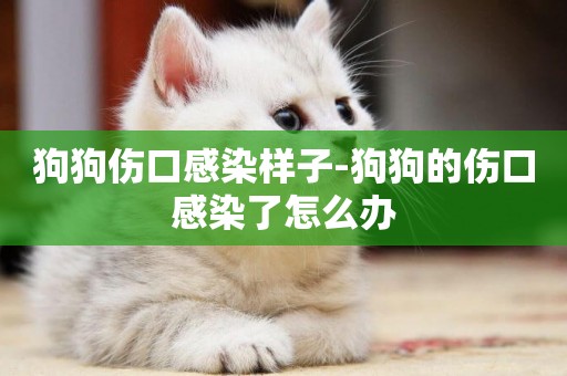狗狗傷口感染樣子-狗狗的傷口感染了怎么辦