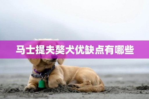 馬士提夫獒犬優缺點有哪些