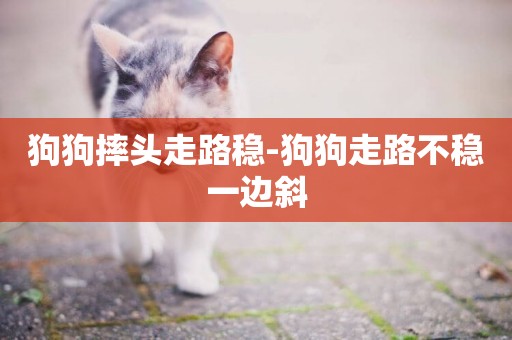 狗狗摔頭走路穩-狗狗走路不穩一邊斜