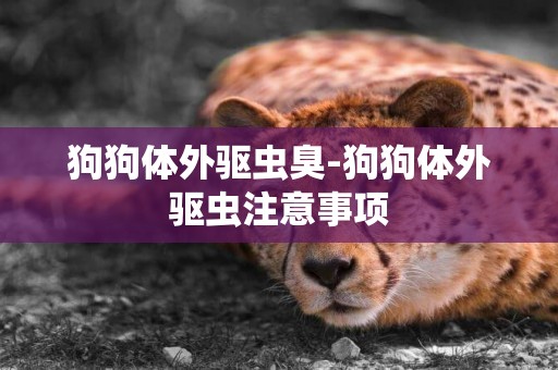 狗狗體外驅蟲臭-狗狗體外驅蟲注意事項