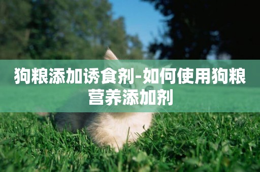 狗糧添加誘食劑-如何使用狗糧營養添加劑