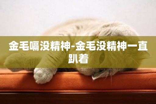 金毛嗝沒精神-金毛沒精神一直趴著