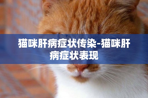 貓咪肝病癥狀傳染-貓咪肝病癥狀表現