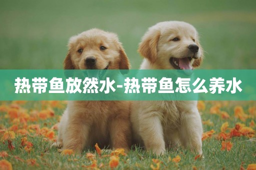 熱帶魚放然水-熱帶魚怎么養水
