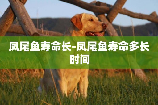 鳳尾魚壽命長-鳳尾魚壽命多長時間