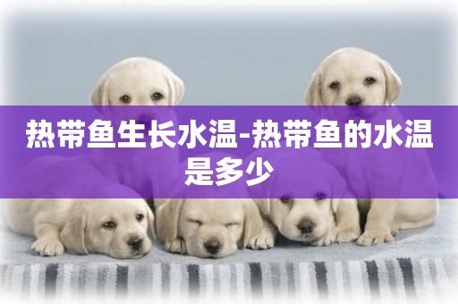熱帶魚生長水溫-熱帶魚的水溫是多少