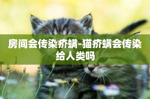 房間會傳染疥螨-貓疥螨會傳染給人類嗎