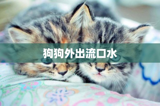 狗狗外出流口水