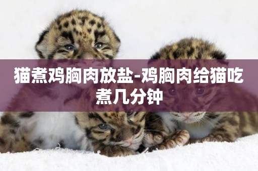 貓煮雞胸肉放鹽-雞胸肉給貓吃煮幾分鐘