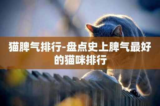 貓脾氣排行-盤點史上脾氣最好的貓咪排行