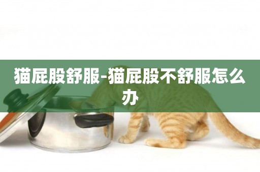 貓屁股舒服-貓屁股不舒服怎么辦