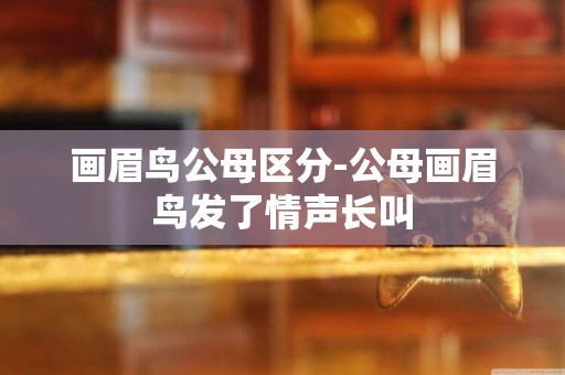 畫眉鳥公母區分-公母畫眉鳥發了情聲長叫