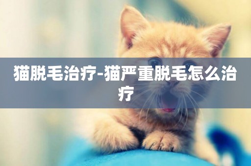 貓脫毛治療-貓嚴重脫毛怎么治療