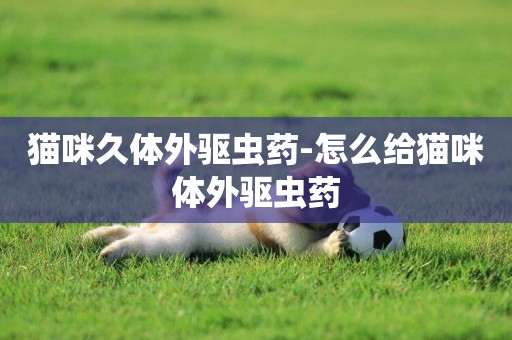 貓咪久體外驅蟲藥-怎么給貓咪體外驅蟲藥