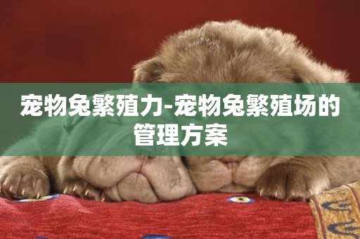 寵物兔繁殖力-寵物兔繁殖場的管理方案