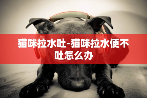 貓咪拉水吐-貓咪拉水便不吐怎么辦