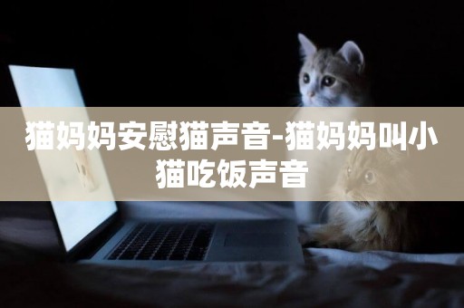貓媽媽安慰貓聲音-貓媽媽叫小貓吃飯聲音
