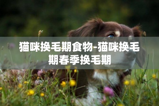 貓咪換毛期食物-貓咪換毛期春季換毛期