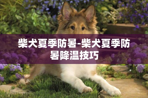 柴犬夏季防暑-柴犬夏季防暑降溫技巧