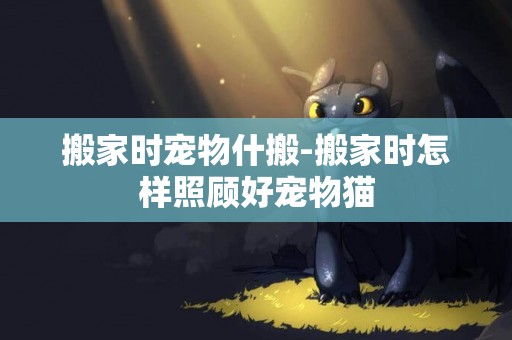 搬家時寵物什搬-搬家時怎樣照顧好寵物貓