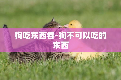 狗吃東西吞-狗不可以吃的東西