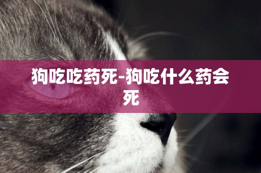 狗吃吃藥死-狗吃什么藥會死