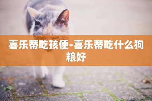 喜樂蒂吃孩便-喜樂蒂吃什么狗糧好