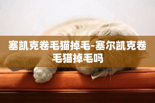 塞凱克卷毛貓掉毛-塞爾凱克卷毛貓掉毛嗎