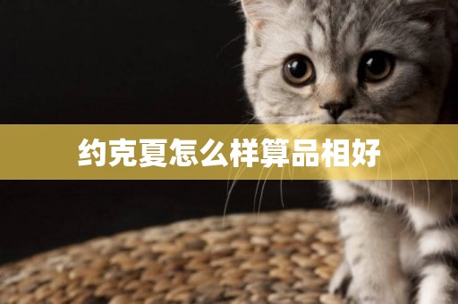 約克夏怎么樣算品相好