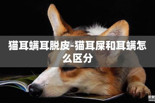 貓耳螨耳脫皮-貓耳屎和耳螨怎么區分