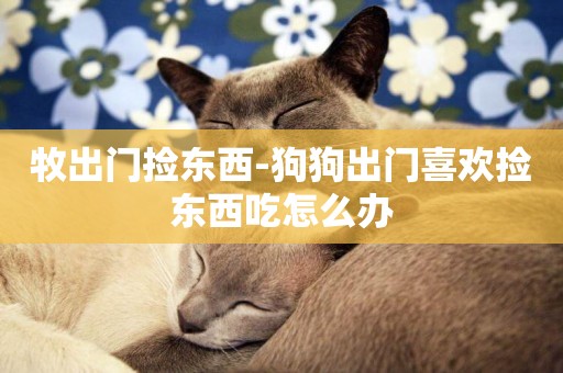 牧出門撿東西-狗狗出門喜歡撿東西吃怎么辦
