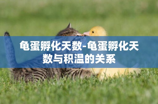 龜蛋孵化天數-龜蛋孵化天數與積溫的關系