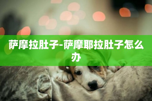 薩摩拉肚子-薩摩耶拉肚子怎么辦