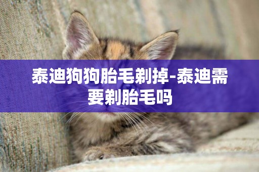泰迪狗狗胎毛剃掉-泰迪需要剃胎毛嗎