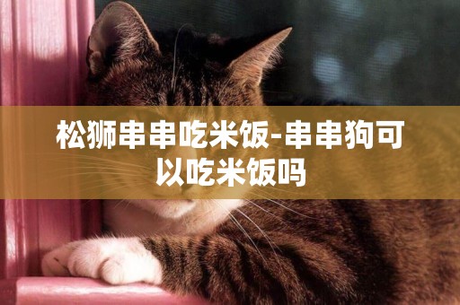 松獅串串吃米飯-串串狗可以吃米飯嗎