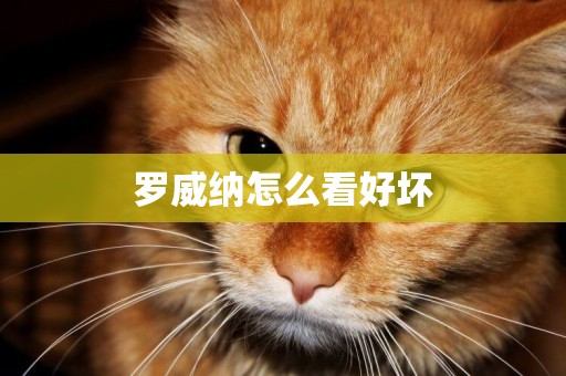 羅威納怎么看好壞