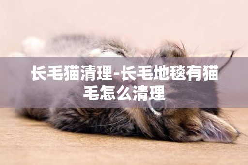 長毛貓清理-長毛地毯有貓毛怎么清理