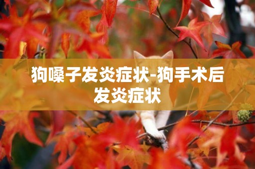 狗嗓子發炎癥狀-狗手術后發炎癥狀
