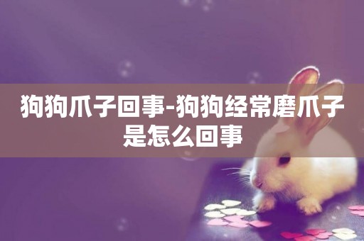 狗狗爪子回事-狗狗經常磨爪子是怎么回事