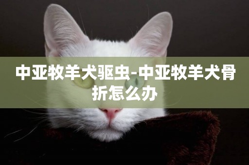 中亞牧羊犬驅蟲-中亞牧羊犬骨折怎么辦