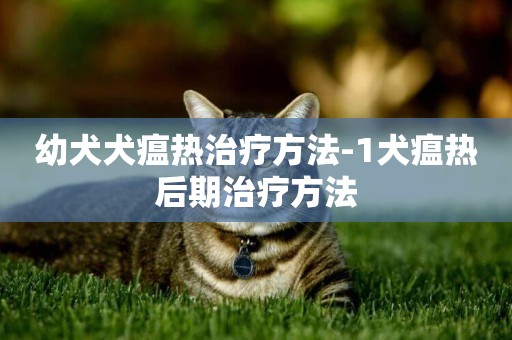 幼犬犬瘟熱治療方法-1犬瘟熱后期治療方法