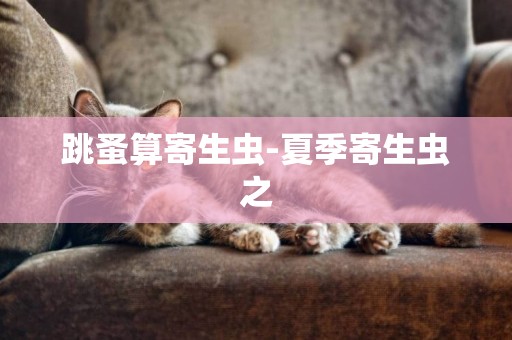 跳蚤算寄生蟲-夏季寄生蟲之