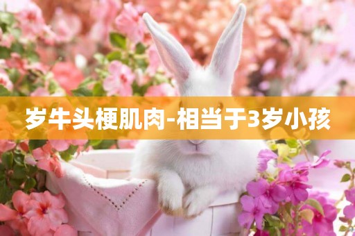歲牛頭梗肌肉-相當于3歲小孩