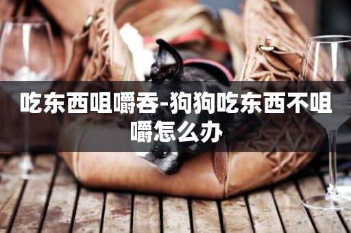 吃東西咀嚼吞-狗狗吃東西不咀嚼怎么辦