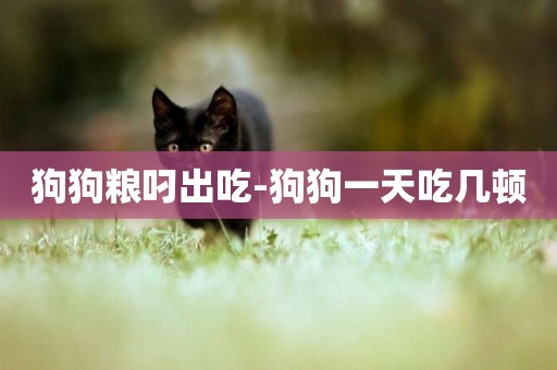 狗狗糧叼出吃-狗狗一天吃幾頓