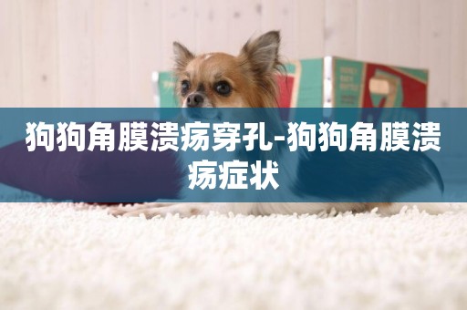 狗狗角膜潰瘍穿孔-狗狗角膜潰瘍癥狀
