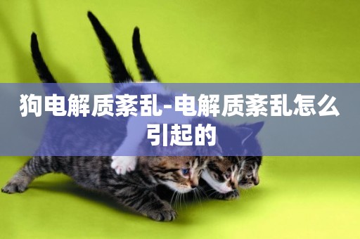 狗電解質紊亂-電解質紊亂怎么引起的