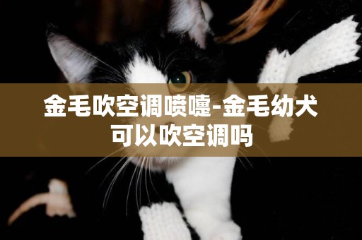 金毛吹空調噴嚏-金毛幼犬可以吹空調嗎