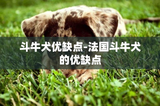 斗牛犬優缺點-法國斗牛犬的優缺點